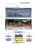 Esszék 'Main Constituents of Earth's Atmosphere and Their Importance for Life on Earth', 5.                