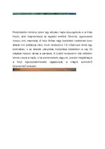 Összefoglalók, jegyzetek 'A csodás Thaiföld', 5.                