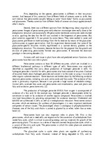 Esszék 'The Multiple Role of Peroxisomes in Plant Life', 3.                