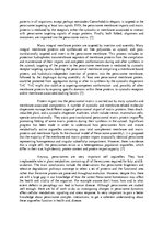 Esszék 'The Multiple Role of Peroxisomes in Plant Life', 6.                