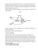 Kutatási anyagok 'Impact of Eco-taxes on Supply Side Behavior', 8.                