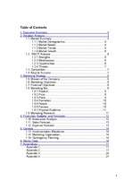 Üzleti tervek 'Marketing Plan', 2.                