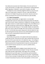 Üzleti tervek 'Marketing Plan', 4.                