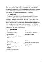 Üzleti tervek 'Marketing Plan', 5.                