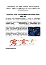 Prezentációk 'Response of the Energy Systems, Musculoskeletal System, Cardiovascular System an', 1.                