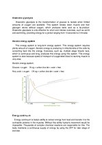 Prezentációk 'Response of the Energy Systems, Musculoskeletal System, Cardiovascular System an', 6.                