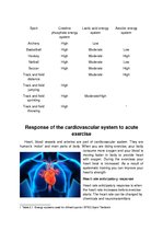 Prezentációk 'Response of the Energy Systems, Musculoskeletal System, Cardiovascular System an', 8.                