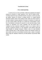 Összefoglalók, jegyzetek 'Independent Reading', 3.                