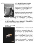 Kutatási anyagok 'Advertising Age', 36.                