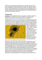 Esszék 'A globális melegedést kiváltó okok', 11.                