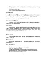 Üzleti tervek 'Automobile Company "Audi"', 7.                