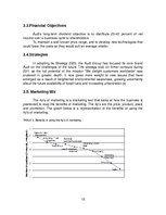 Üzleti tervek 'Automobile Company "Audi"', 15.                