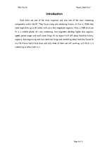 Kutatási anyagok 'Hard Discs ', 4.                