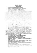 Összefoglalók, jegyzetek 'Financial Risk', 1.                