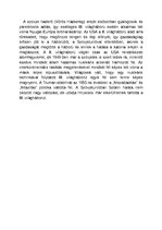 Összefoglalók, jegyzetek 'A keleti és nyugati blokk főbb politikai, gazdasági, társadalmi jellemzői, a hid', 7.                