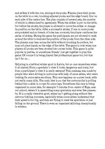 Összefoglalók, jegyzetek 'Less Known Sports', 2.                