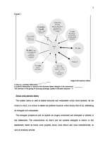 Kutatási anyagok 'The Client System Assessment', 3.                