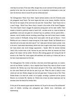 Záródolgozatok 'The Representation of the Experiences of Adolescence in J.D.Salinger's Novel "Th', 9.                