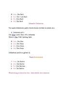 Összefoglalók, jegyzetek 'Das Nomen', 2.                