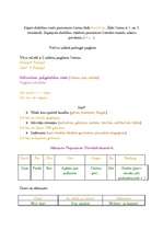 Összefoglalók, jegyzetek 'Das Nomen', 5.                