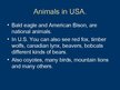 Prezentációk 'United States of America', 9.                