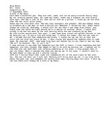 Esszék 'A Hole In My Heart', 1.                