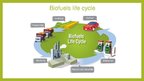 Prezentációk 'Biofuels', 11.                
