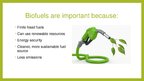 Prezentációk 'Biofuels', 13.                