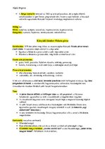 Összefoglalók, jegyzetek 'Kányádi Sándor kettő verse', 2.                