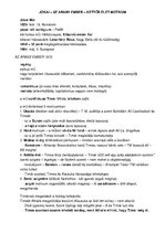 Összefoglalók, jegyzetek 'Irodalom kisérettségi tételek', 6.                