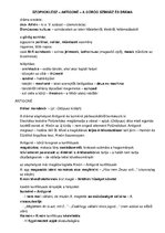 Összefoglalók, jegyzetek 'Irodalom kisérettségi tételek', 9.                