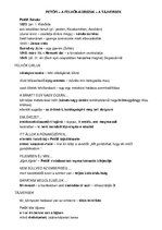 Összefoglalók, jegyzetek 'Irodalom kisérettségi tételek', 11.                