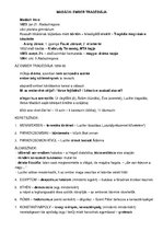 Összefoglalók, jegyzetek 'Irodalom kisérettségi tételek', 13.                