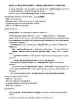 Összefoglalók, jegyzetek 'Irodalom kisérettségi tételek', 17.                