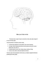 Kutatási anyagok 'Brain', 3.                