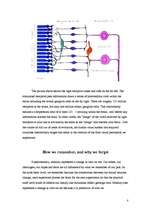 Kutatási anyagok 'Brain', 5.                