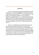 Kutatási anyagok 'Brain', 20.                