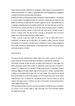 Esszék 'Statiol Fuel & Retail Company', 3.                