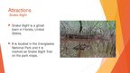 Prezentációk 'Everglades National Park bemutató prezentáció angolul', 4.                