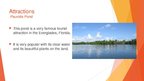 Prezentációk 'Everglades National Park bemutató prezentáció angolul', 5.                