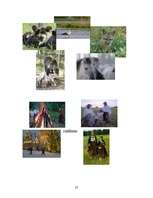 Kutatási anyagok 'Tourism in Latvia', 22.                