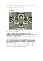 Kutatási anyagok 'Optical Illusions', 6.                