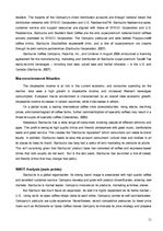 Kutatási anyagok 'Individual Management Report. Starbucks Corporation Ltd. Marketing Audit and Str', 11.                