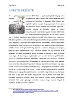 Kutatási anyagok 'Pestis', 2.                