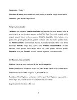 Összefoglalók, jegyzetek 'Análisis del Texto "El Desaparecido"', 7.                