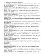 Esszék 'This Is an Article which Describes the History and Art', 1.                