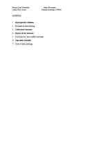 Minták 'Notice and Agenda', 2.                