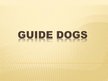 Prezentációk 'Guide Dogs', 1.                
