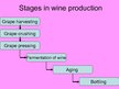 Prezentációk 'Winemaking', 5.                