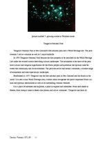 Kutatási anyagok 'Tourism Situation in New Zealand', 11.                